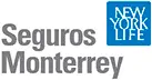 <b>Seguros Monterrey</b> img smty