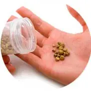 <b>URÓLOGO CDMX</b> img litiasis